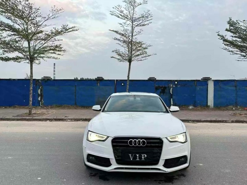 广州15年奥迪A51