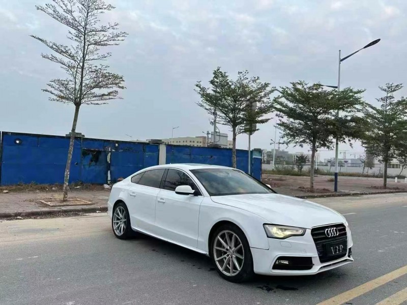 广州15年奥迪A52