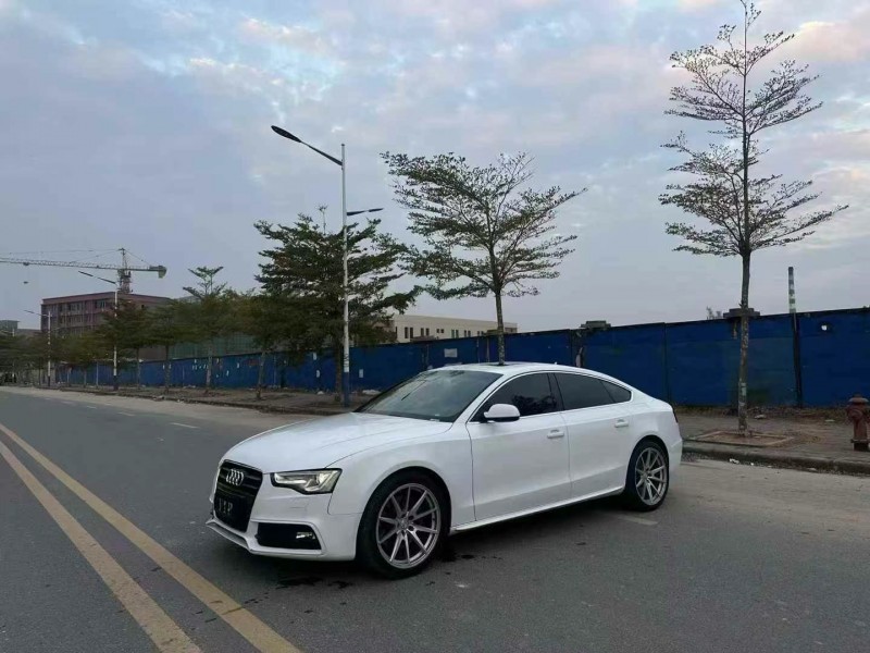 广州15年奥迪A53