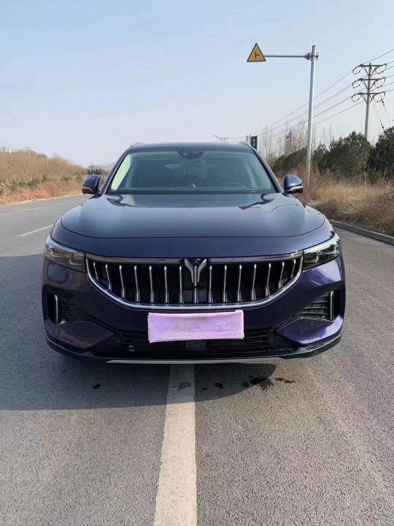 邯鄲22年嵐圖汽車FREE1