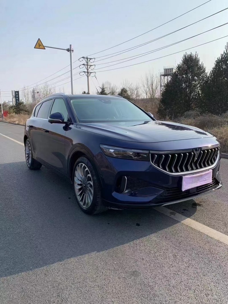 邯鄲22年嵐圖汽車FREE3
