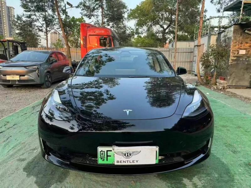 廣州22年特斯拉MODEL 31
