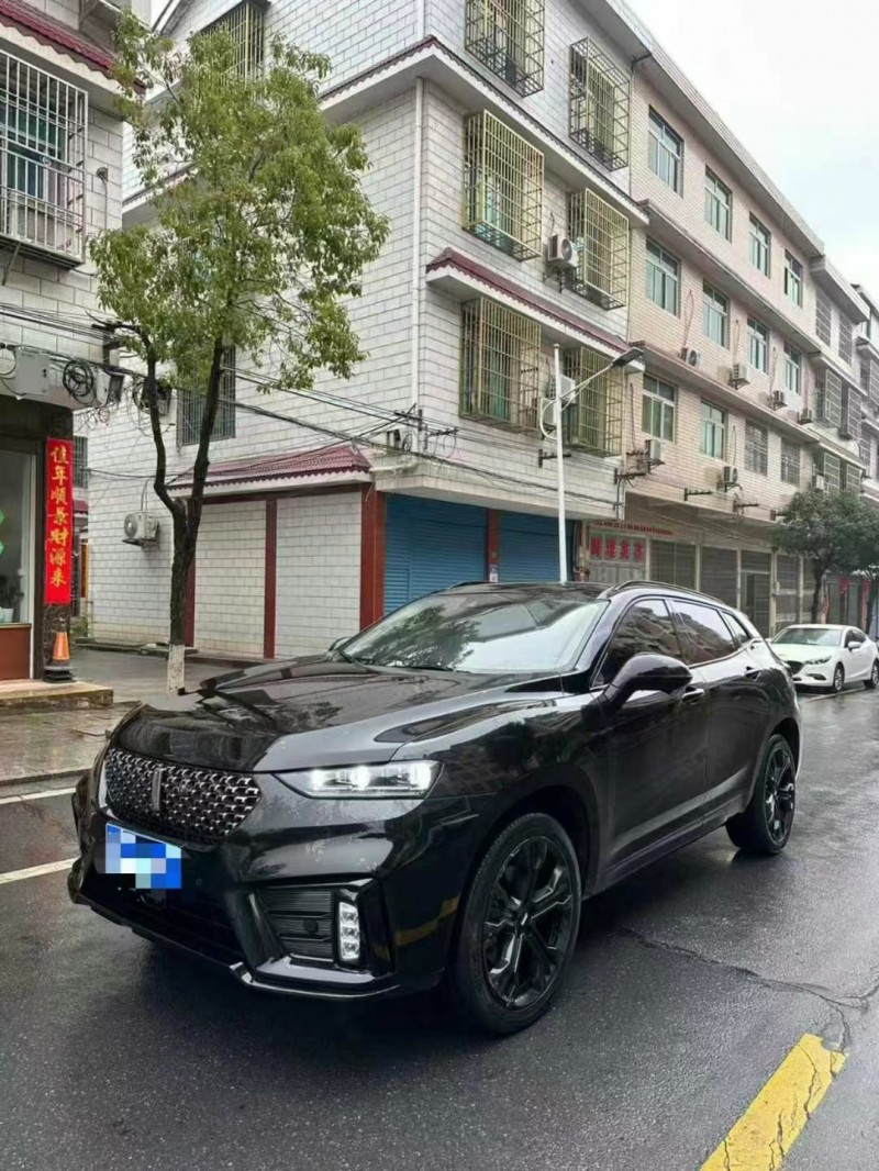 紹興20年長城汽車魏牌2