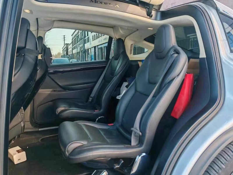 六盤水17年特斯拉MODEL X6