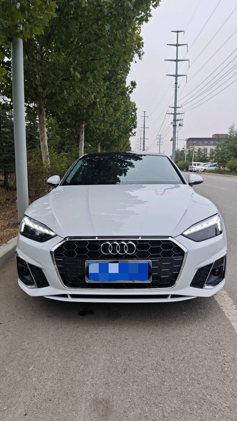 日照23年奥迪A51