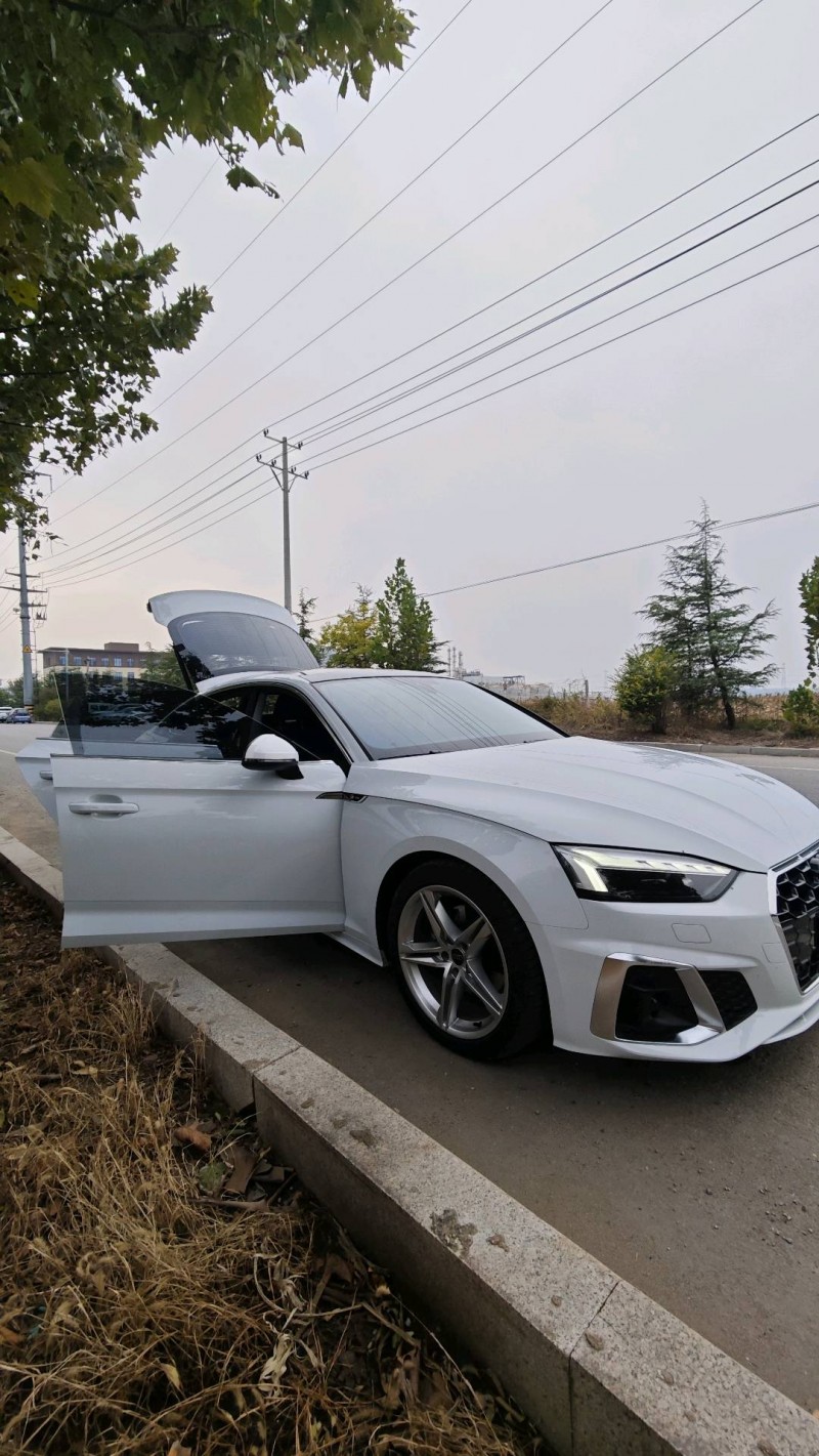 日照23年奥迪A56