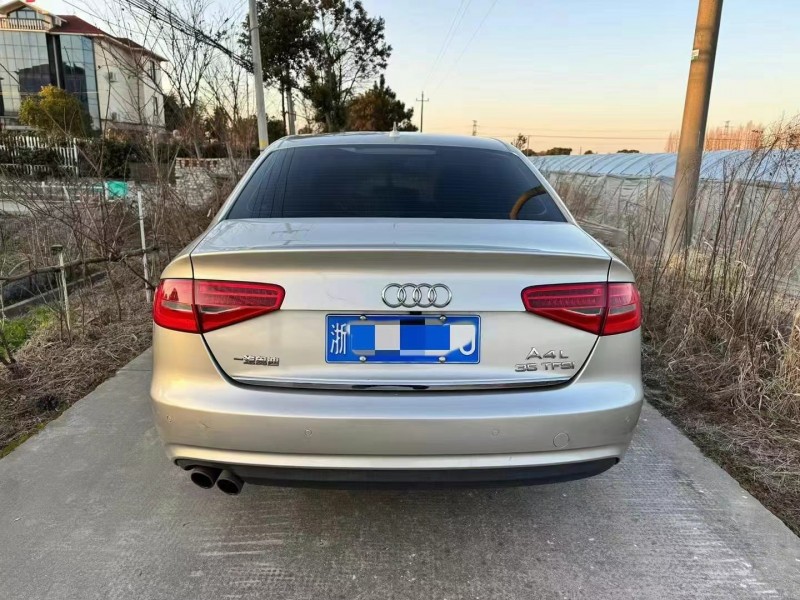 麗水16年奧迪A4L9
