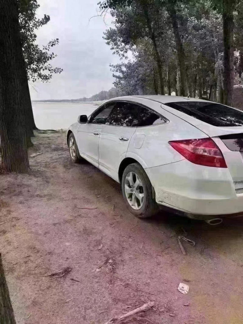 菏泽14年本田歌诗图5