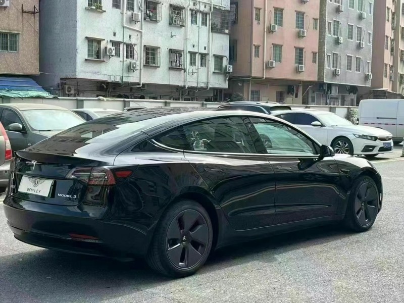 茂名22年特斯拉MODEL 38