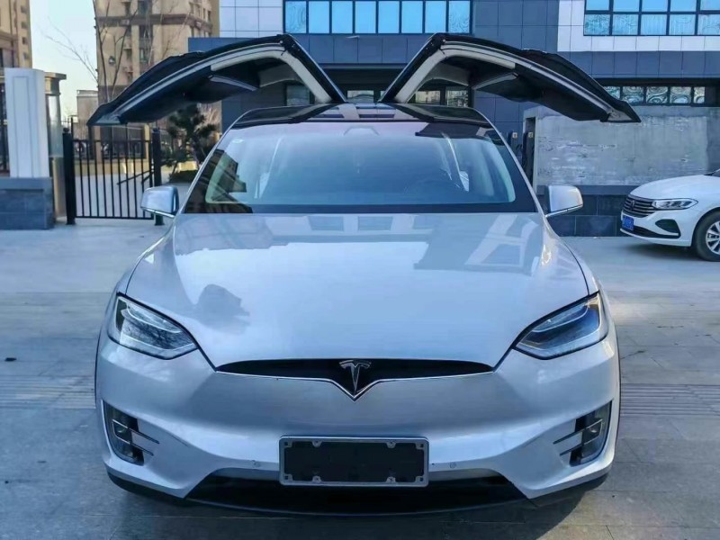 南寧17年特斯拉MODEL X1