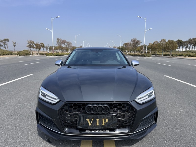 盐城19年奥迪A51