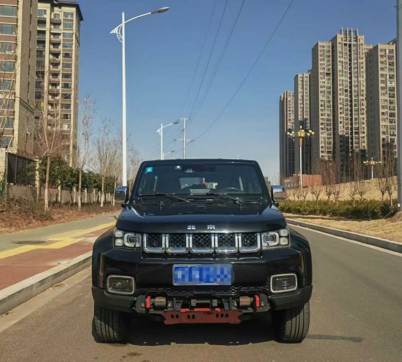 漯河19年北京BJ401