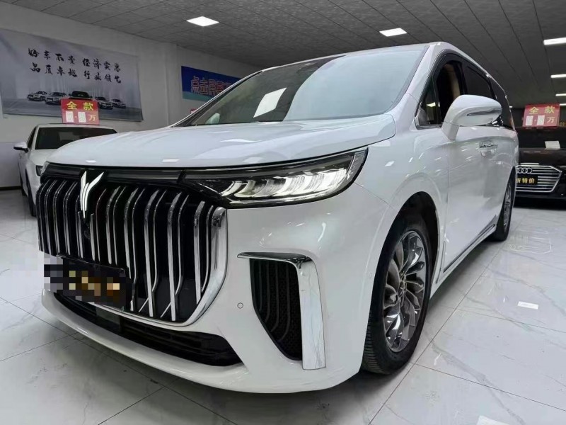 廊坊22年嵐圖汽車夢想家2