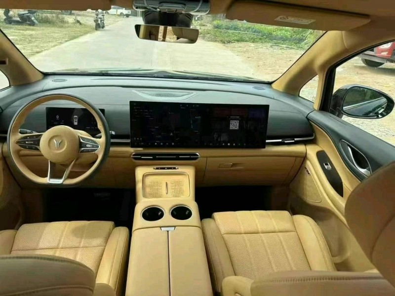 湛江25年嵐圖汽車夢想家8