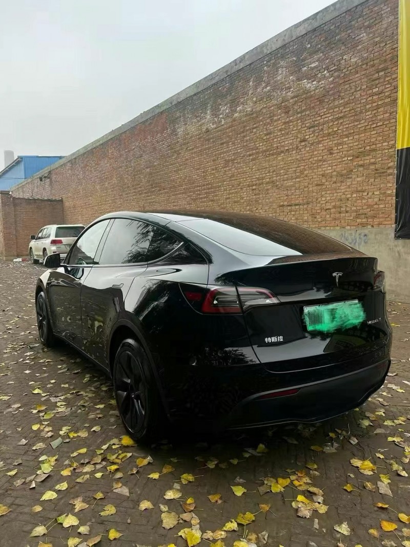 保定24年特斯拉MODEL Y8