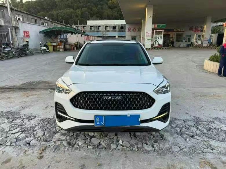 潮州20年哈弗M61