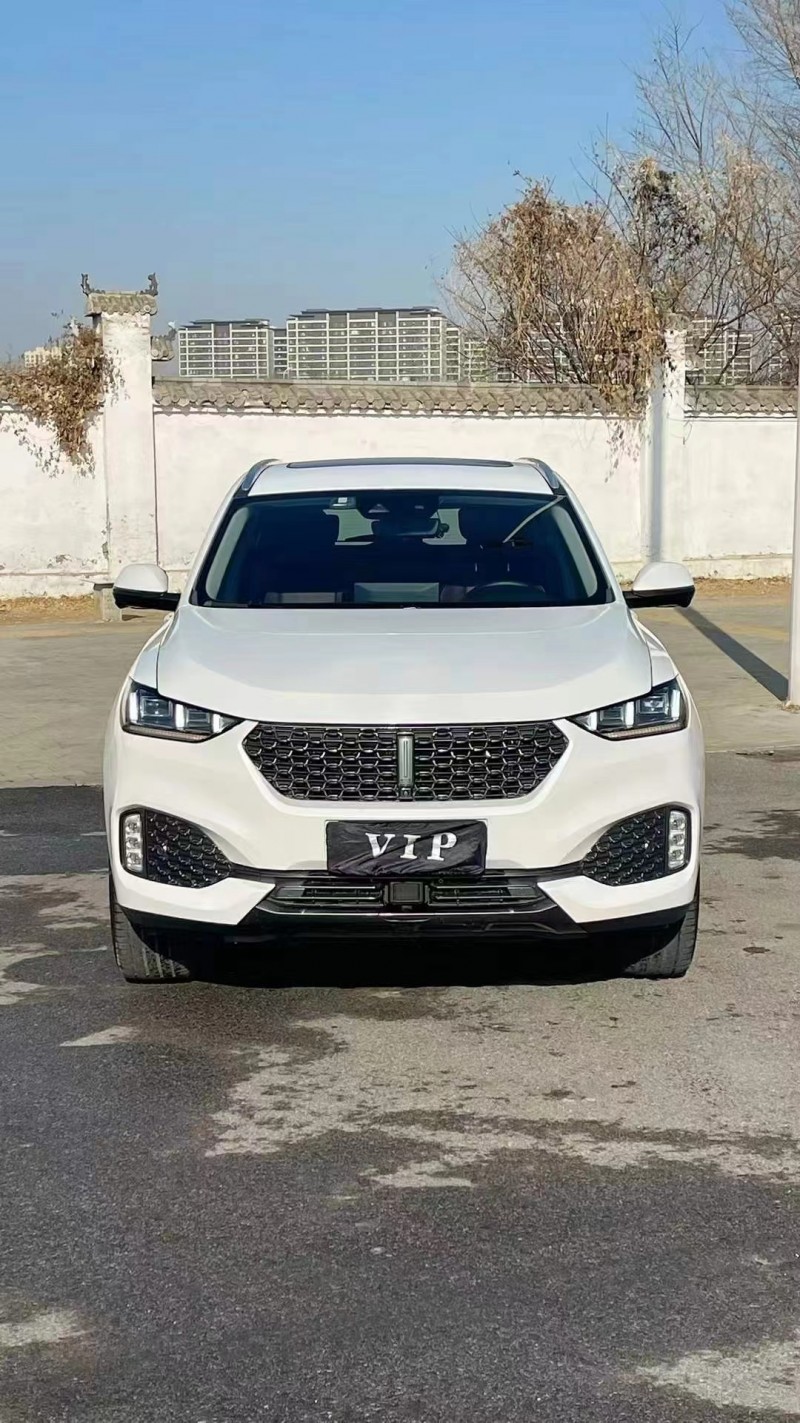 廊坊20年長城汽車WEY1