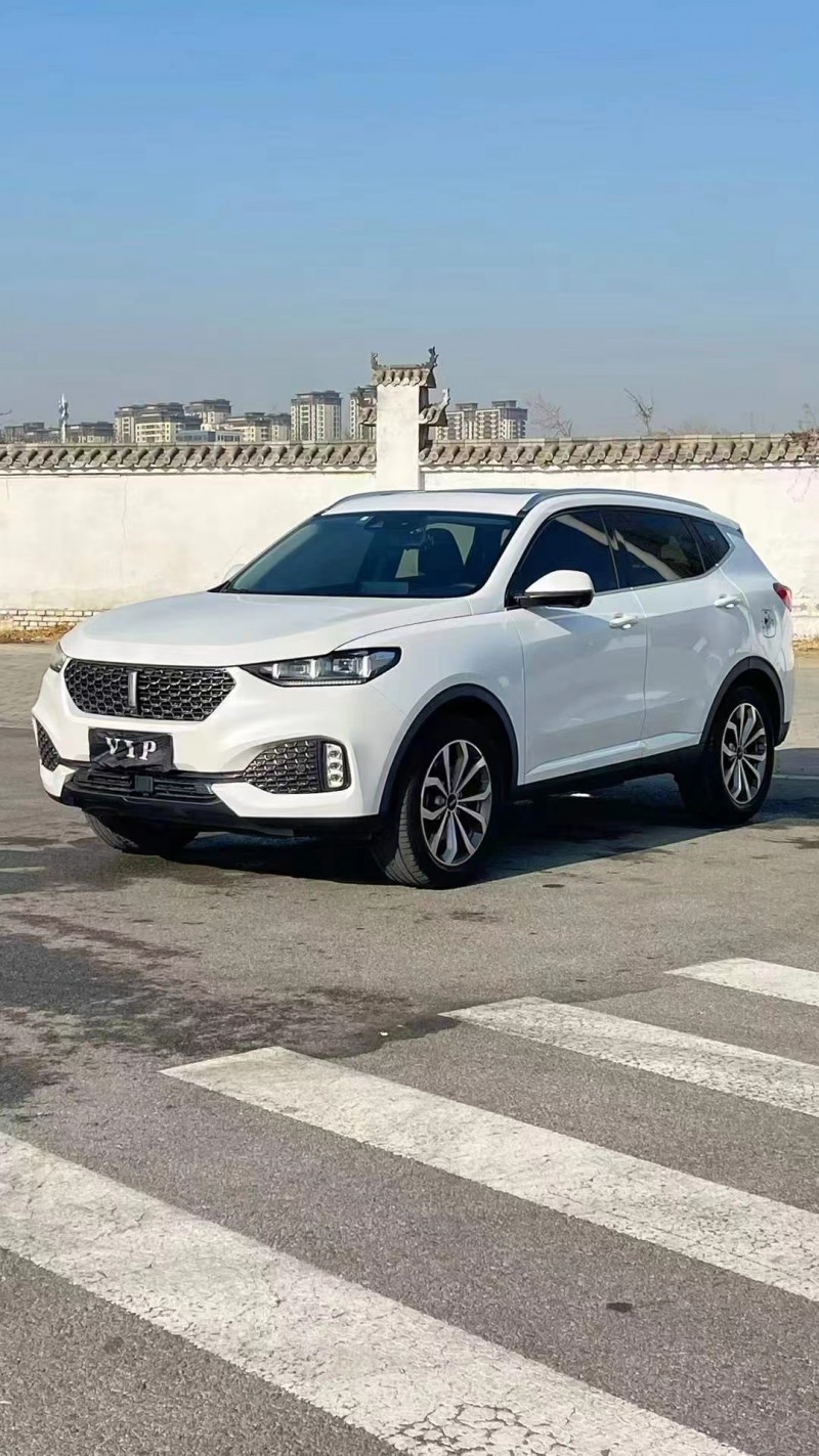 廊坊20年長城汽車WEY3