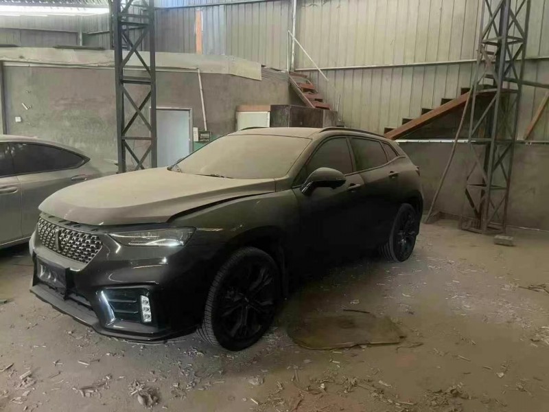 廈門20年長城汽車魏牌2