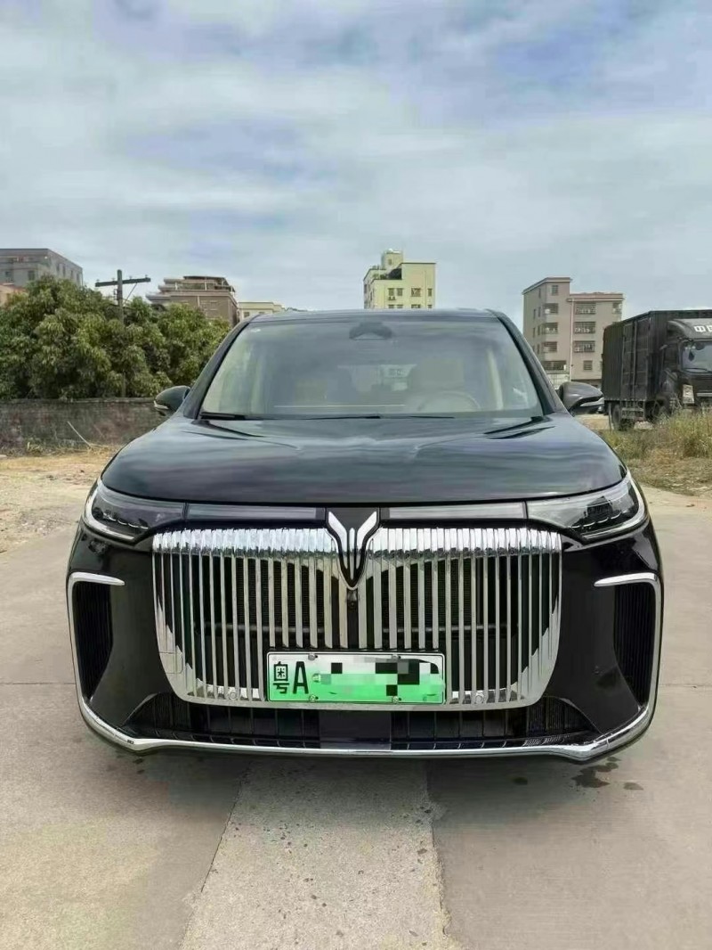 廣州25年嵐圖汽車夢想家1
