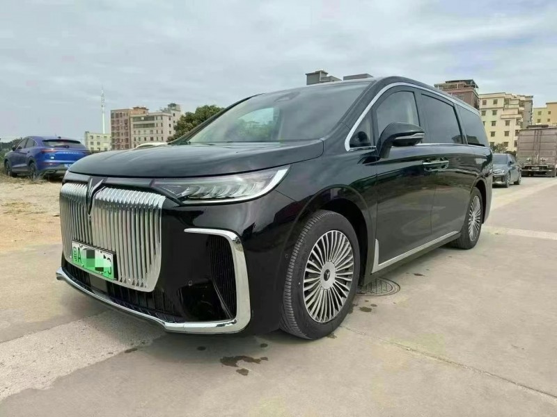 廣州25年嵐圖汽車夢想家2