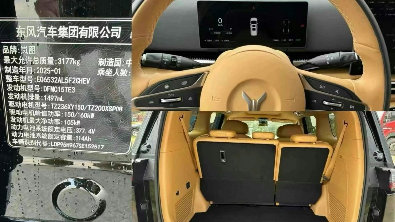 廣州25年嵐圖汽車夢想家8