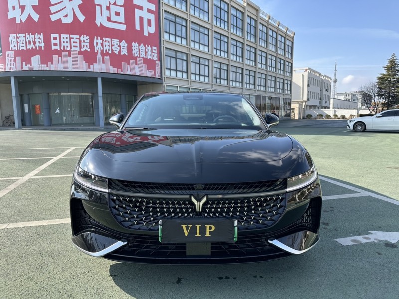 鹽城24年嵐圖汽車追光1