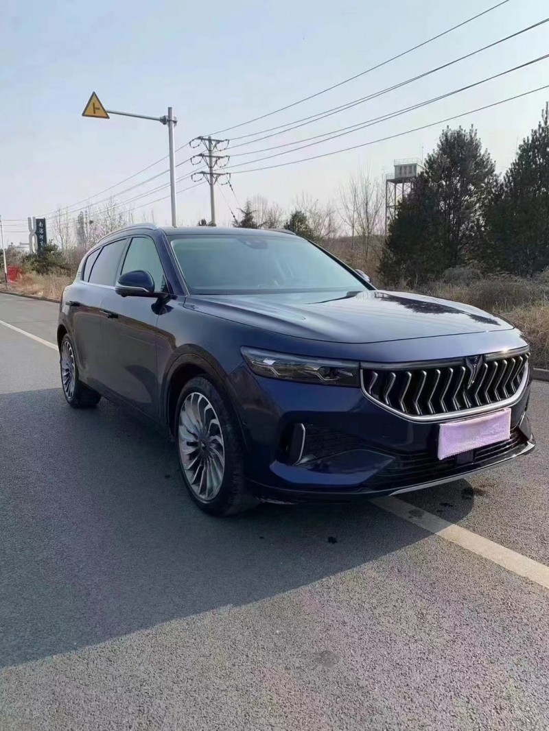唐山22年嵐圖汽車FREE3