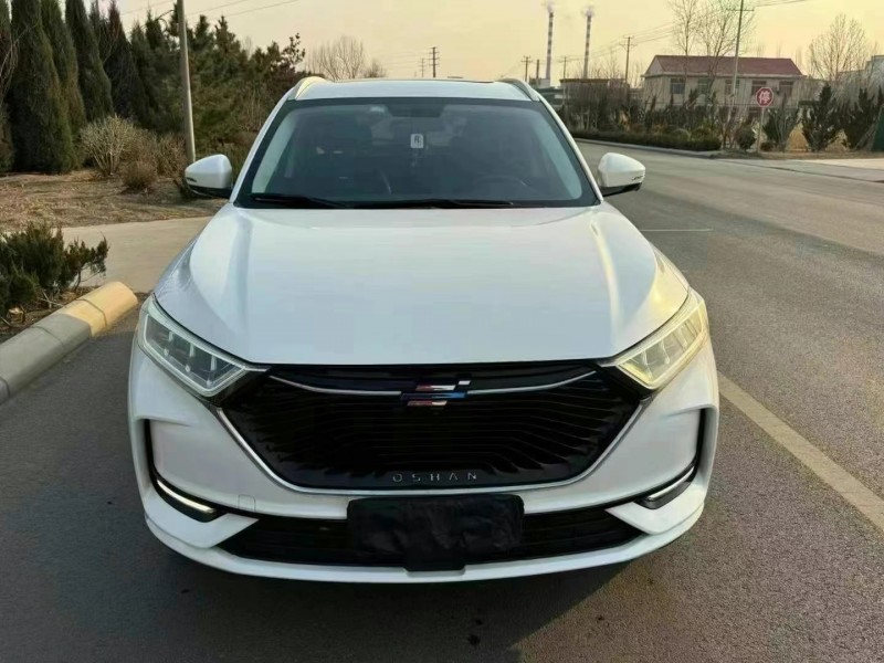 東營20年長安汽車歐尚1