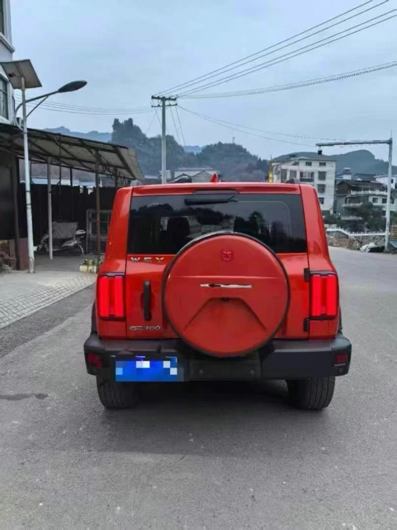 張家界21年長城汽車坦克9