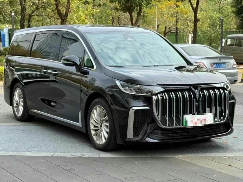 佛山24年嵐圖汽車夢想家2
