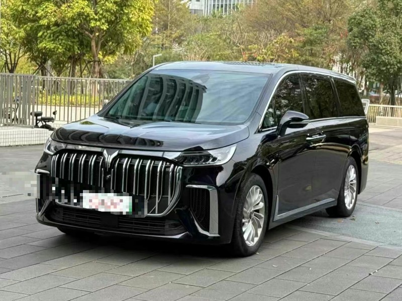 佛山24年嵐圖汽車夢想家3