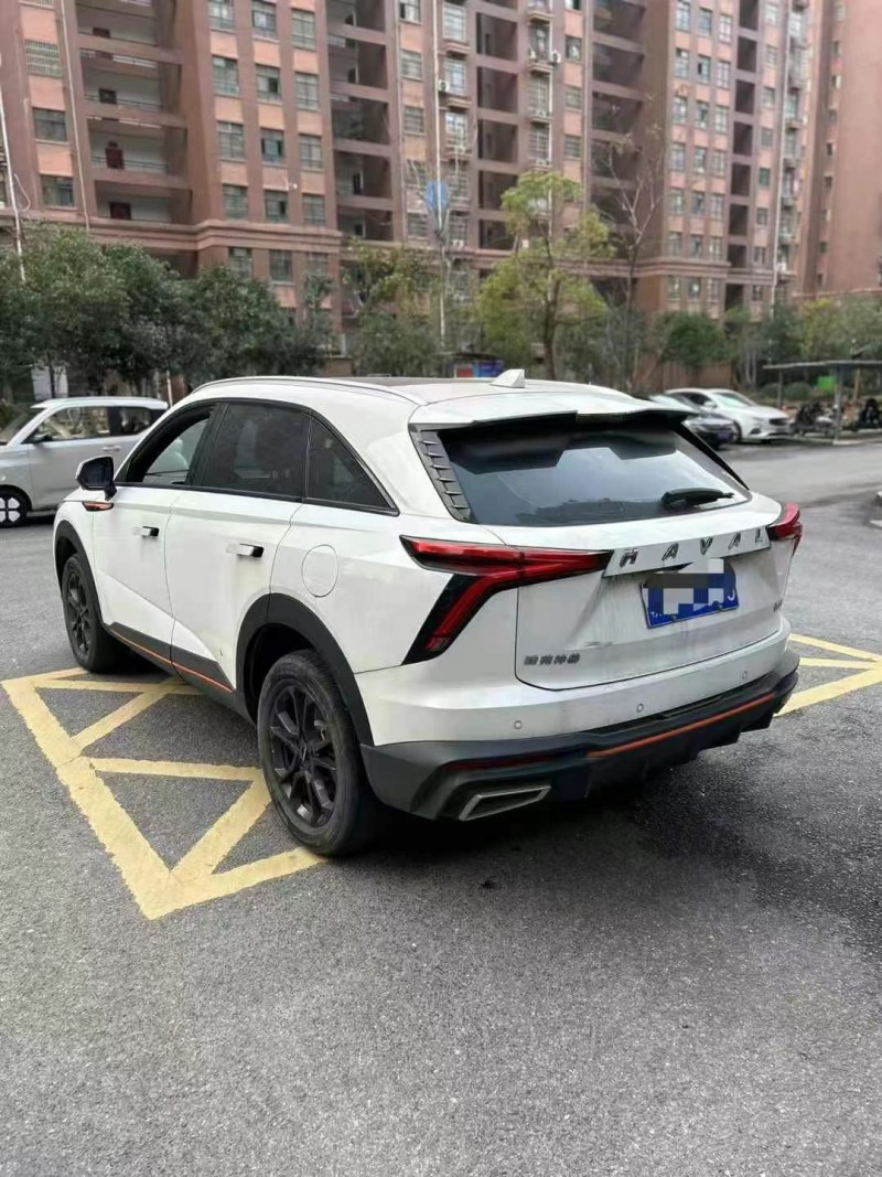 萍鄉22年哈弗神獸9