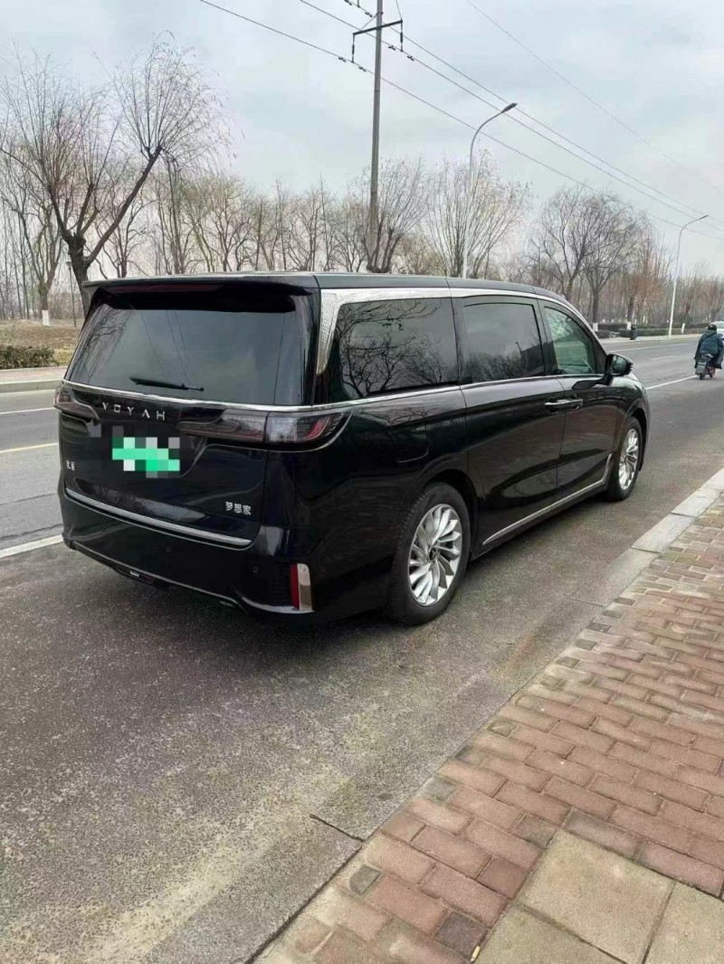 臨沂24年嵐圖汽車夢想家8