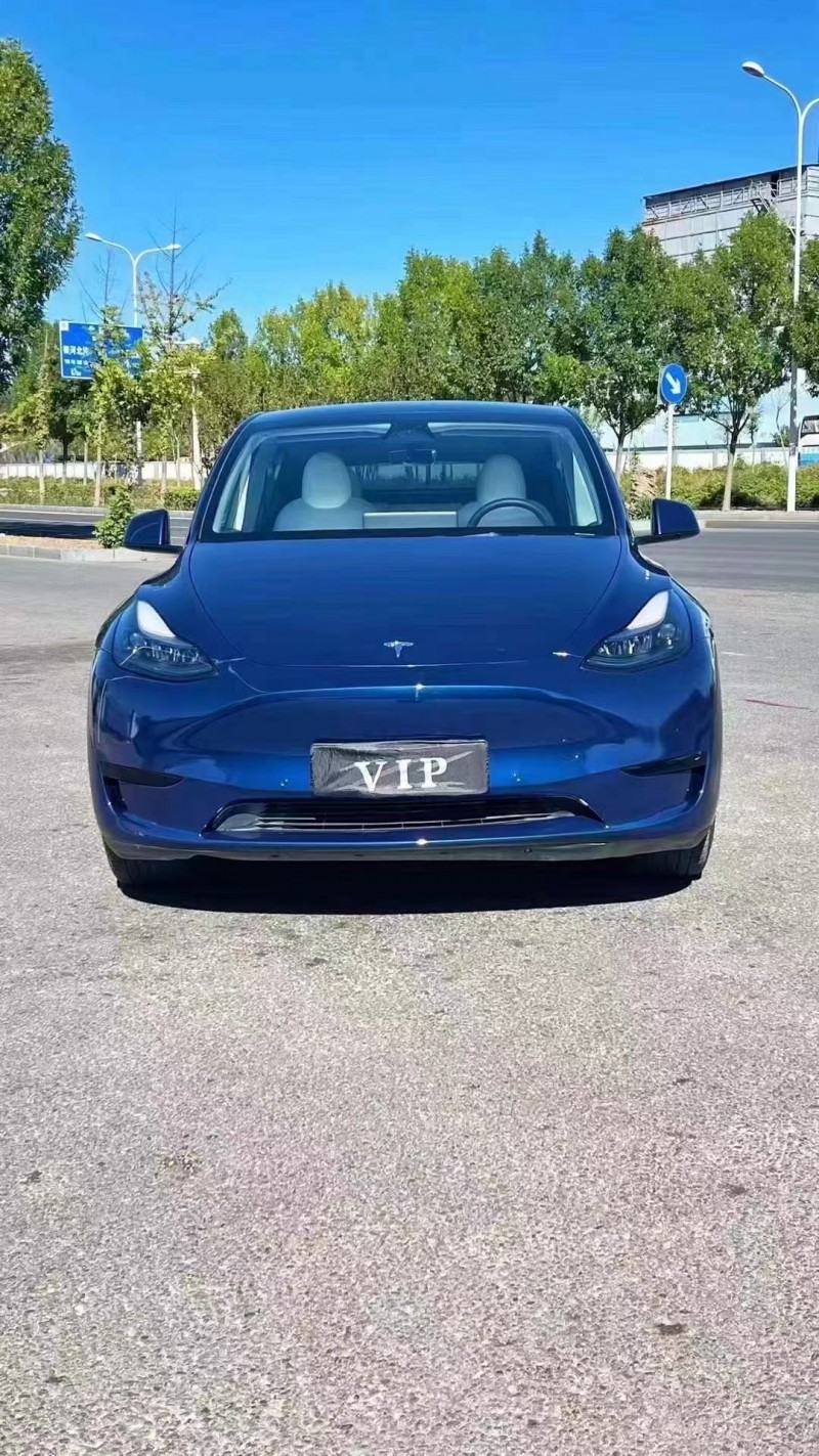 廊坊23年特斯拉MODEL Y1