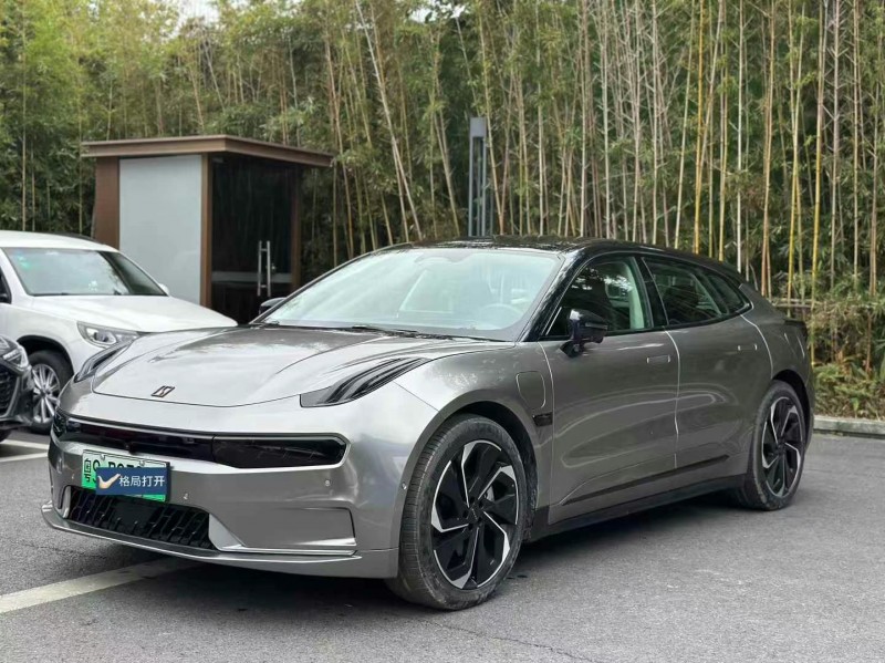 東莞22年極氪汽車0013