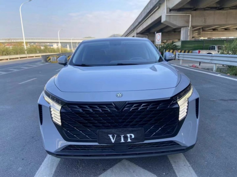 廣州22年啟辰大V1