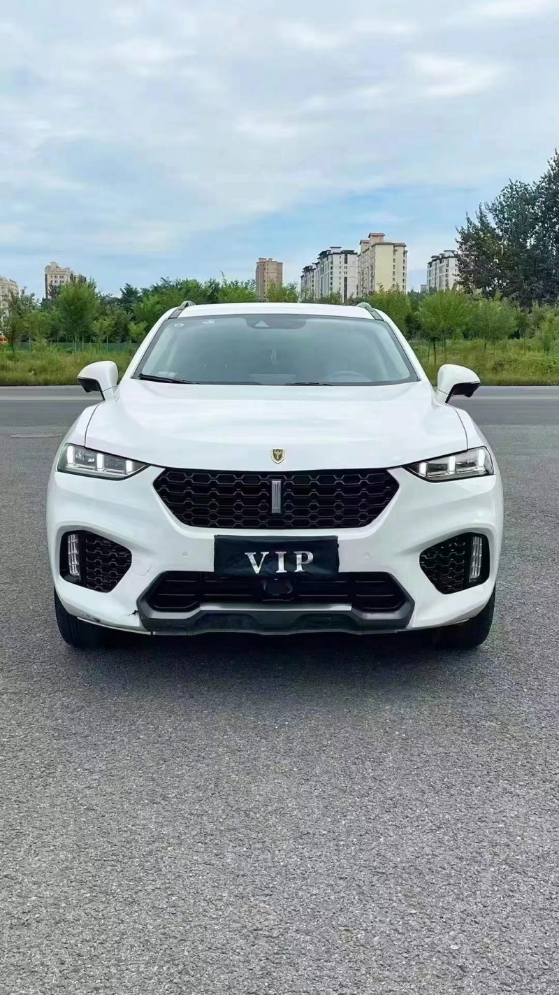 廊坊19年長城汽車WEY1