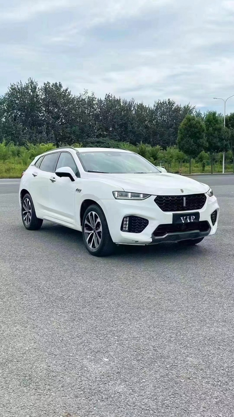 廊坊19年長城汽車WEY3