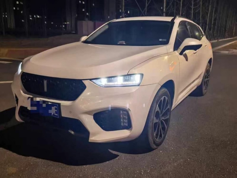 天津19年長城汽車魏牌2