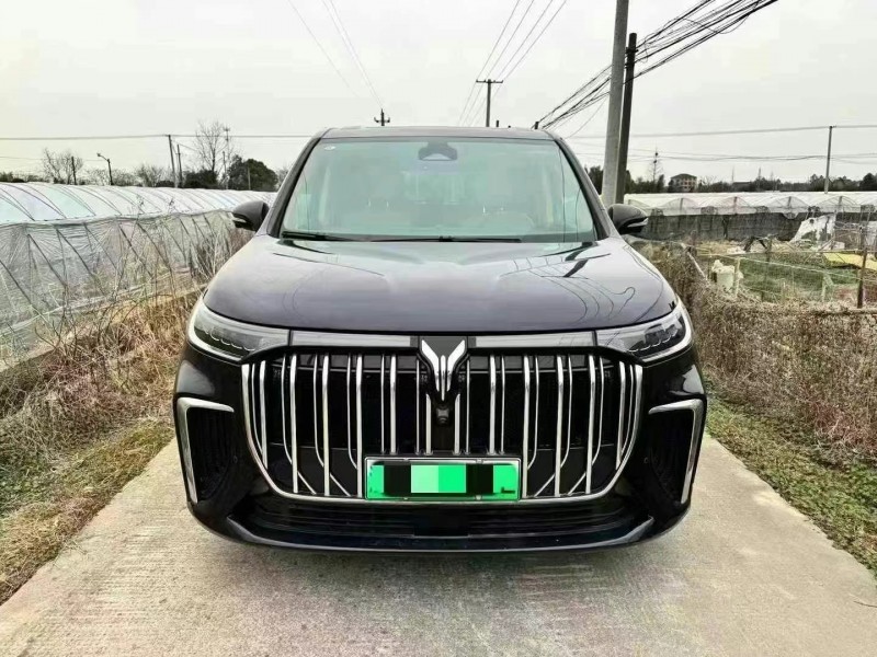 嘉興24年嵐圖汽車夢想家1