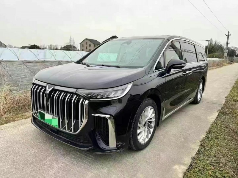 嘉興24年嵐圖汽車夢想家5
