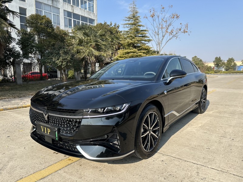 鹽城24年嵐圖汽車追光3
