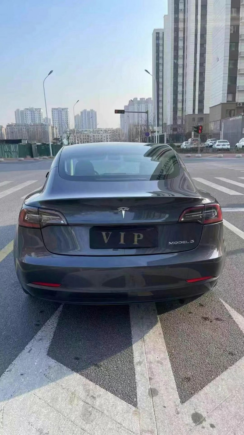 東營20年特斯拉MODEL 38
