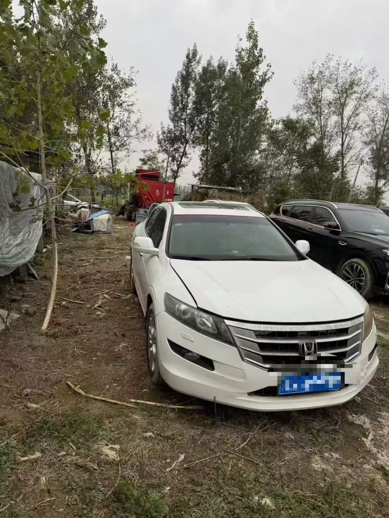 枣庄14年本田歌诗图2