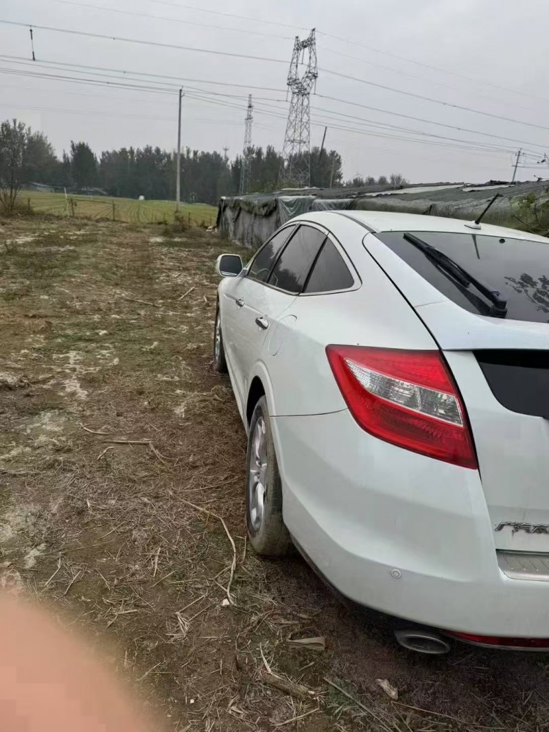 枣庄14年本田歌诗图5