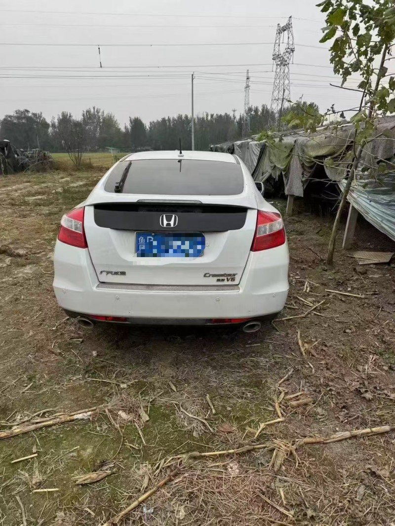 枣庄14年本田歌诗图6