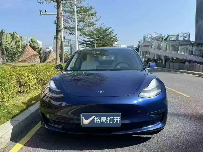 深圳20年特斯拉MODEL 31