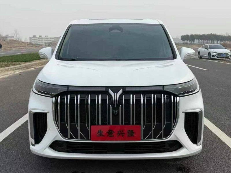 衡陽24年嵐圖汽車夢想家1