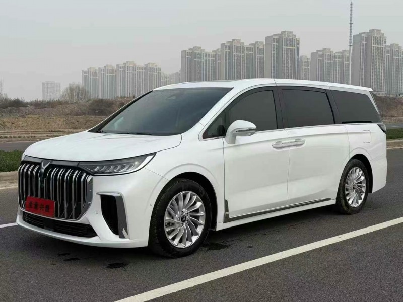 衡陽24年嵐圖汽車夢想家3
